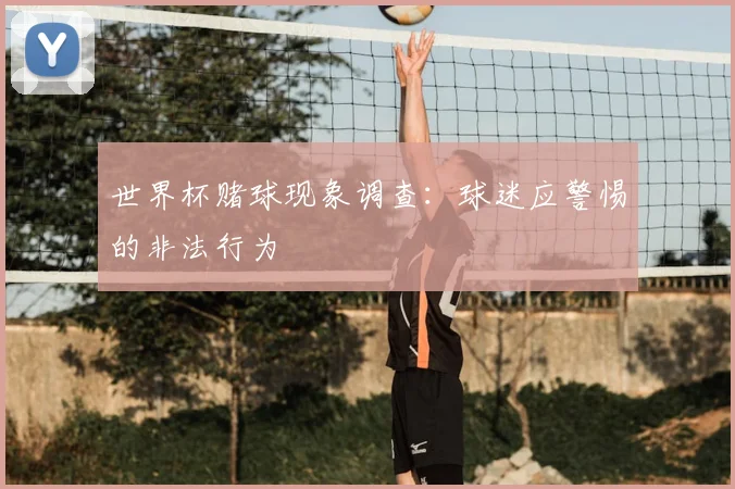 世界杯赌球现象调查：球迷应警惕的非法行为