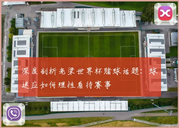 深度剖析老梁世界杯赌球话题：球迷应如何理性看待赛事