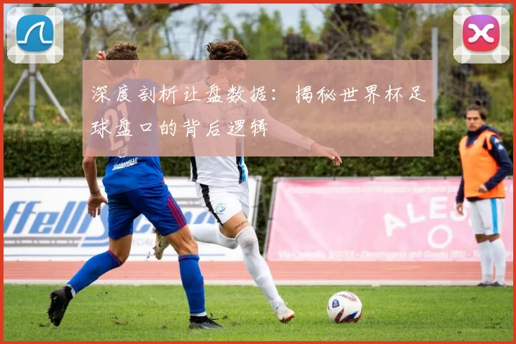 深度剖析让盘数据：揭秘世界杯足球盘口的背后逻辑