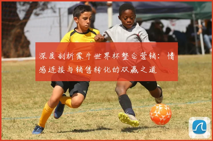 深度剖析蒙牛世界杯整合营销：情感连接与销售转化的双赢之道
